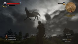 witcher3 2015-06-07 20-57-59-47.jpg