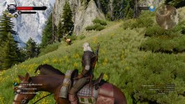 witcher3 2015-06-02 15-35-54-49.jpg