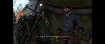 witcher3 2015-06-11 14-35-35-47.jpg