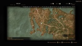 witcher3 2015-06-11 21-40-41-761.jpg