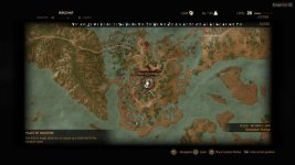 witcher3 2015-06-11 22-09-31-810.jpg