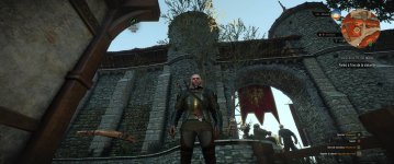 witcher3 2015-06-12 00-15-31-34.jpg