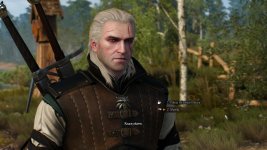 witcher3 2015-06-12 01-01-15-65.jpg