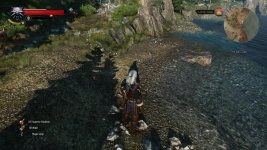 witcher3 2015-06-11 20-59-14-58.jpg
