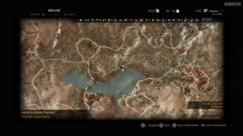 witcher3 2015-06-11 20-59-23-55.jpg