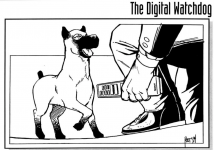 digitalwatchdog.png