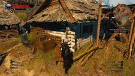 witcher3 2015-06-15 20-36-37-04.jpg