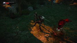 witcher3_2015-06-13_15-01-51.jpg