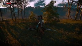 witcher3_2015-06-15_17-02-22.jpg