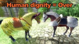 Horse armour header--article_image.jpg