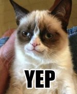 32348-Grumpy-Cat-Yep-Smile-ZtSa.jpeg