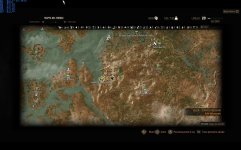 witcher3_2015_06_27_17_12_57_696.jpg