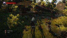 witcher3 2015-06-27 19-54-02-37.jpg