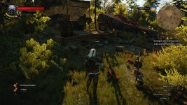 witcher3 2015-06-27 19-54-02-37.jpg