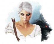 so_ciri_ous___the_lion_cub_of_cintra__witcher_3__by_shinobi2u-d7rwtdw.jpg