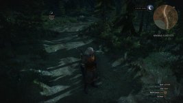 witcher3_7_2_2015_1_08_17_PM_631.jpg
