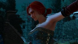 witcher3 2015-07-01 22-54-00-47.jpg