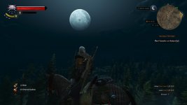 witcher3 2015-07-03 23-17-07-42.jpg