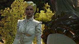 witcher3 2020-11-02 13-24-32-93.jpg