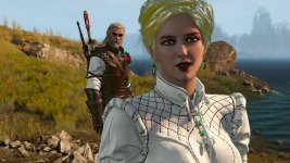 witcher3 2020-11-02 15-06-38-08.jpg