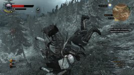 witcher3 2015-07-04 06-30-34-98.jpg