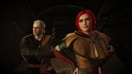 witcher3 2015-06-01 01-08-32-28.jpg