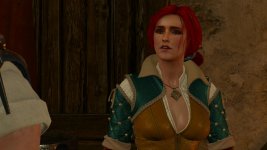 witcher3 2015-07-01 02-31-39-66.jpg