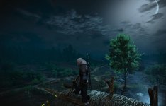 witcher3 2015-07-21 11-37-15-19.jpg