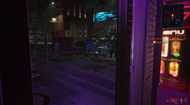 Cyberpunk Streets Bug 3.PNG