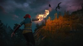 witcher3 2015-07-26 23-23-59-24.jpg