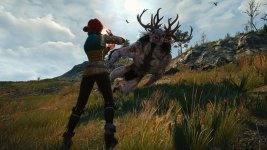 witcher3 2015-07-27 15-00-45-67.jpg