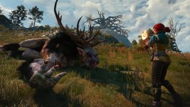 witcher3 2015-07-27 15-01-55-70.jpg