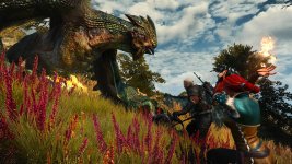 witcher3 2015-07-27 15-32-28-36.jpg