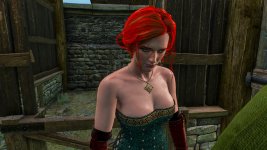 witcher3 2015-07-31 13-45-32-58.jpg