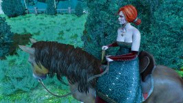 witcher3 2015-07-31 13-47-31-29.jpg