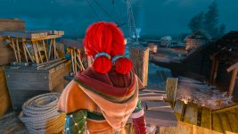 witcher3 2015-07-31 13-57-20-74.jpg