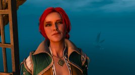 witcher3 2015-07-31 14-01-06-59.jpg