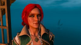 witcher3 2015-07-31 14-01-11-06.jpg