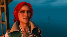 witcher3 2015-07-31 14-01-15-56.jpg