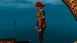 witcher3 2015-07-31 14-02-26-80.jpg