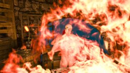 witcher3 2015-07-31 14-04-34-54.jpg