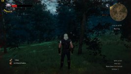 witcher3 2015-07-26 14-36-54-80.jpg