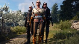 witcher3 2015-07-31 20-29-19-27.jpg