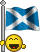 sc-flag.gif