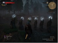 prsc wiedzmin 3 - 16.jpg