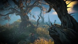 witcher3 2015-08-04 18-04-29-38.jpg