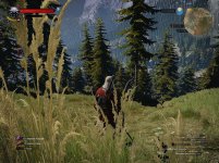 prsc wiedzmin 3 - 128.jpg