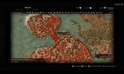 witcher3 2015-08-12 11-55-31-95.jpg