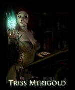 triss_merigold__sorceress__by_solone-d3h987o.jpg
