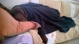 WP_20130923_004.jpg